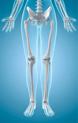 Bone Health Lunch and Learn