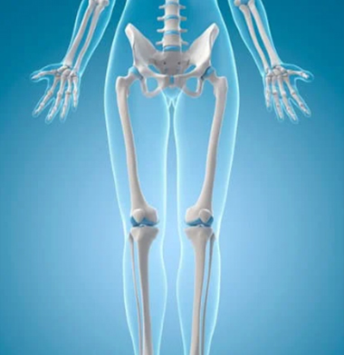 Lunch & Learn Bone Health